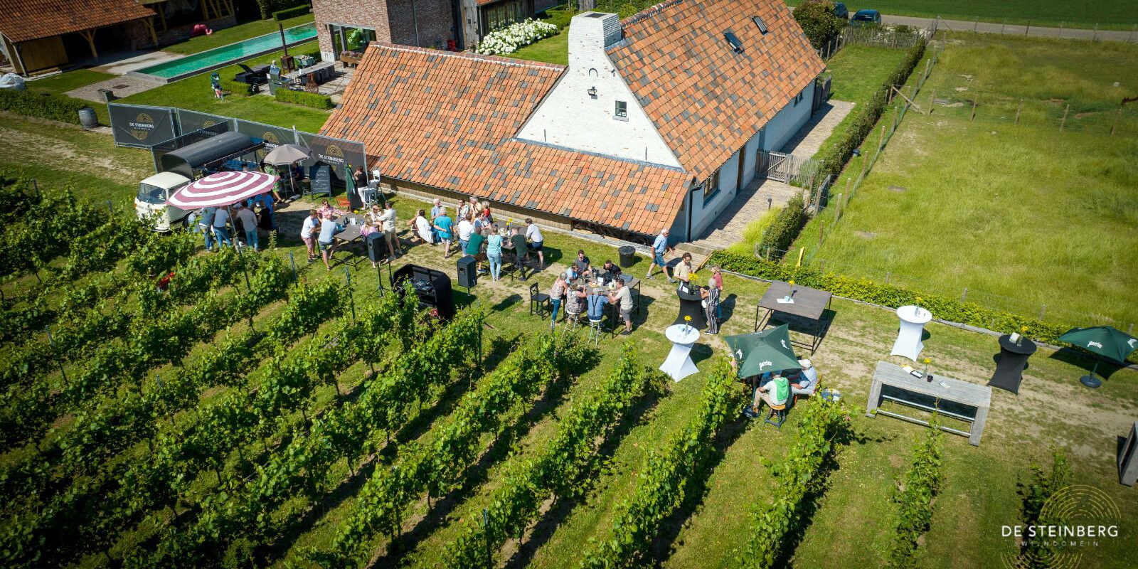 Wijndomein De Steinberg in de kijker! - EMR Wine